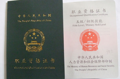 職業(yè)資質(zhì)證書初級